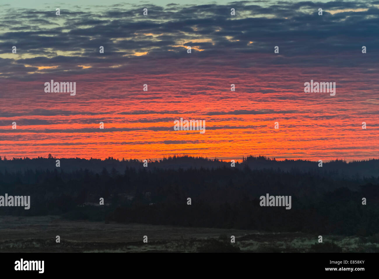 Red sky at dawn, over sand dunes and heathland, Henne, Region of Southern Denmark, Denmark Stock Photo