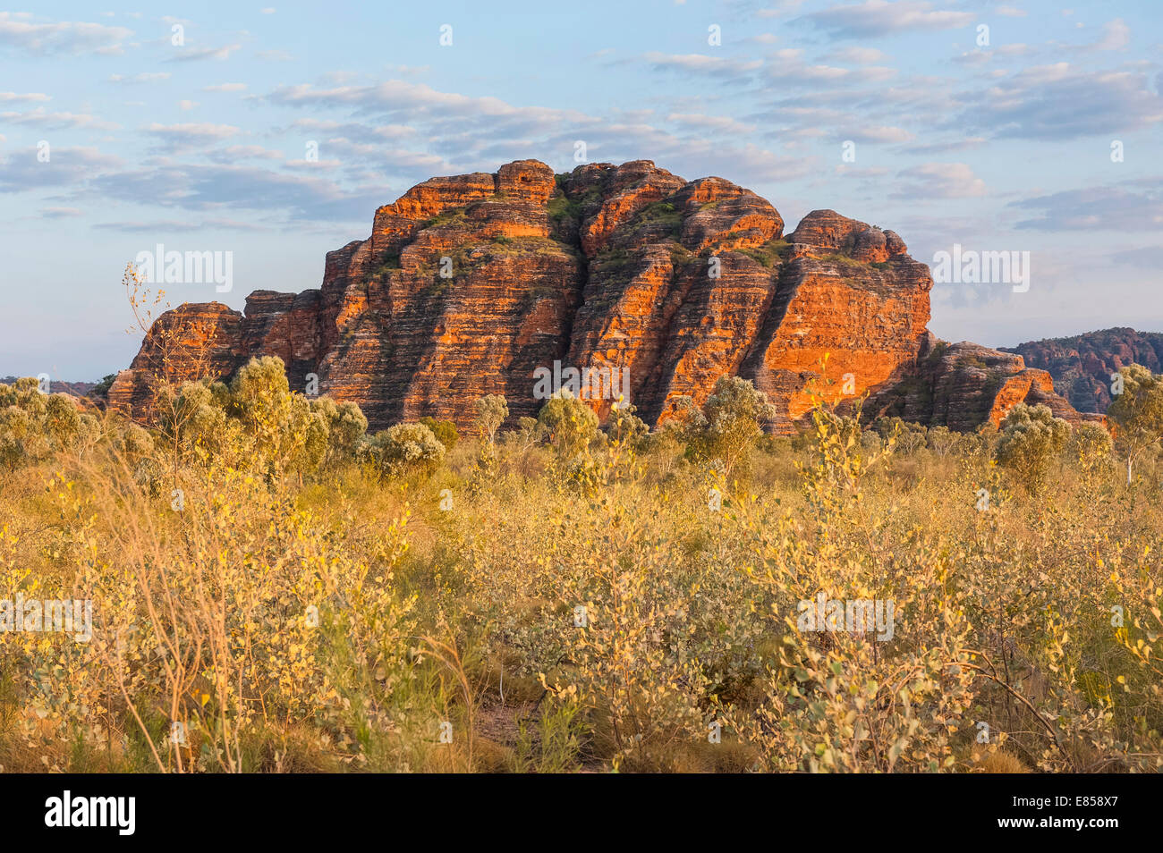 Bungle Bungles, beehive-shaped sandstone towers, Purnululu National Park, UNESCO World Heritage Site, Eastern Kimberleys Stock Photo