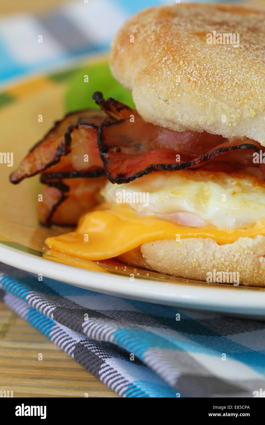 Muffin with fried egg, bacon and cheese Stock Photo