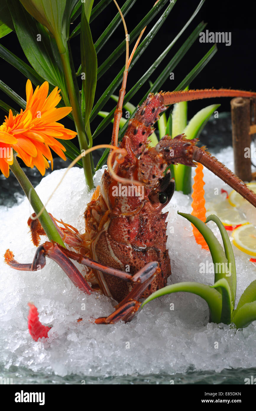 Lobster container hires stock photography and images Alamy