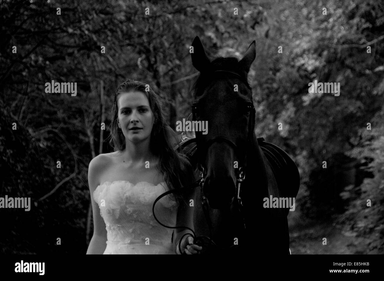 Bride on a horse Stock Photo - Alamy