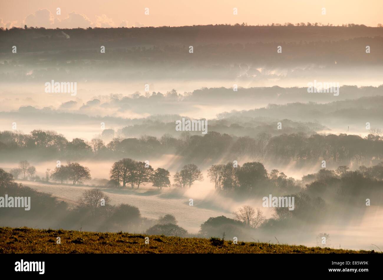 Foggy landscape scene of the countryside Stock Photo - Alamy