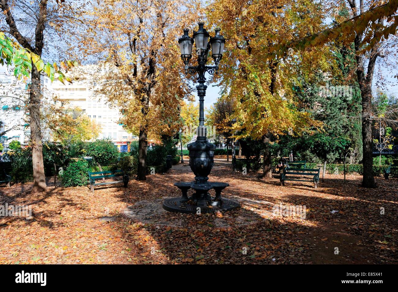 Autumn trees in a park Stock Photo - Alamy