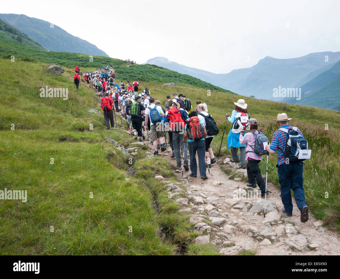 The tourist path up to Ben Nevis crowded with walkers, Scotland UK Stock Photo