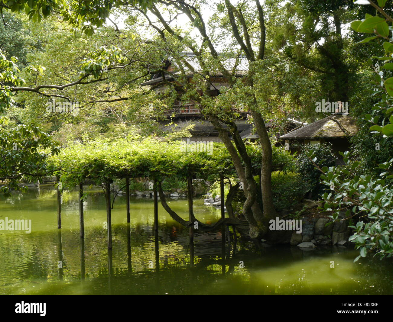 Shusui Tei tea house ceremony room and pond Stock Photo - Alamy