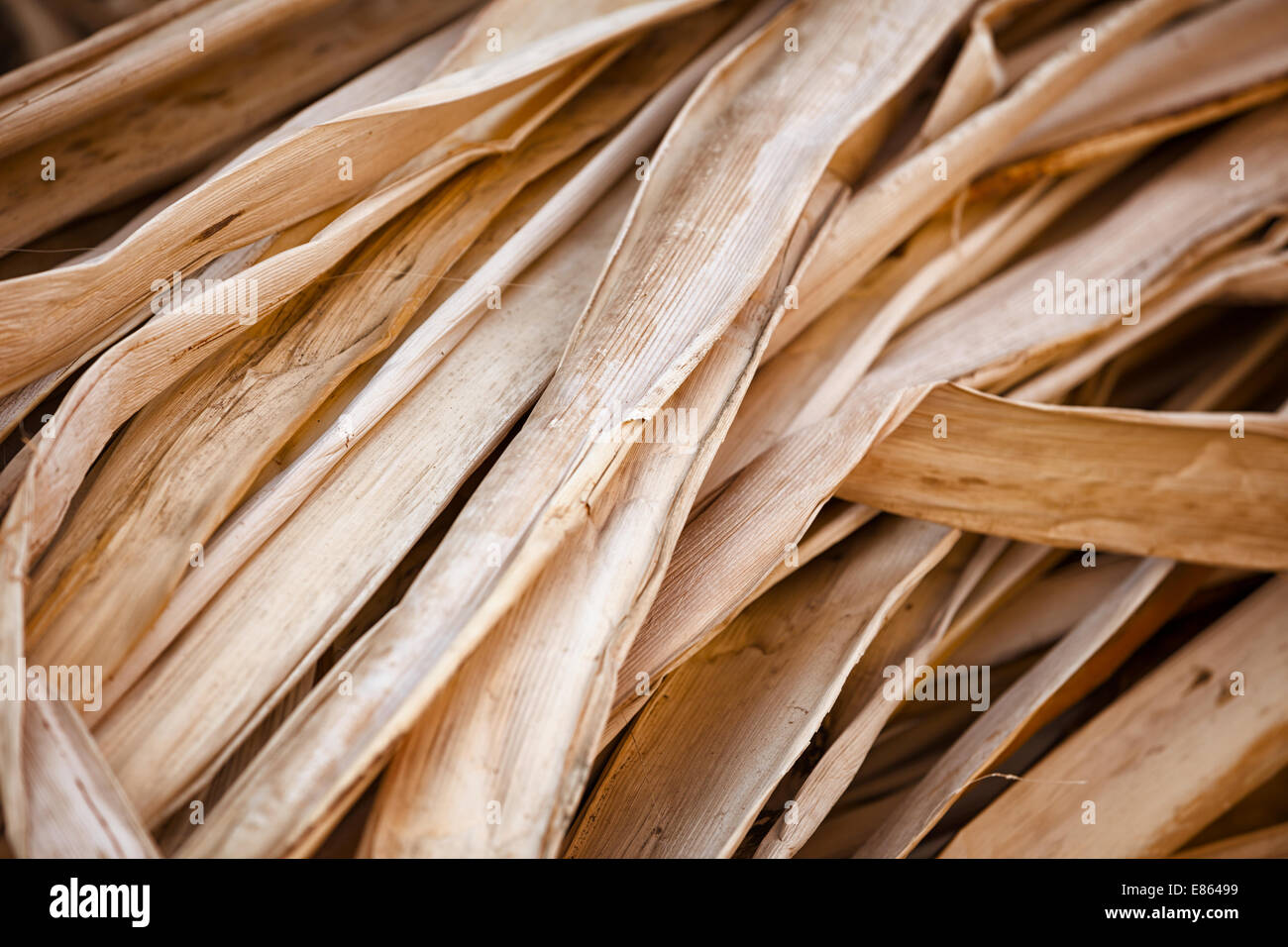 Dry reed - the natural material for the production of souvenirs. Stock Photo
