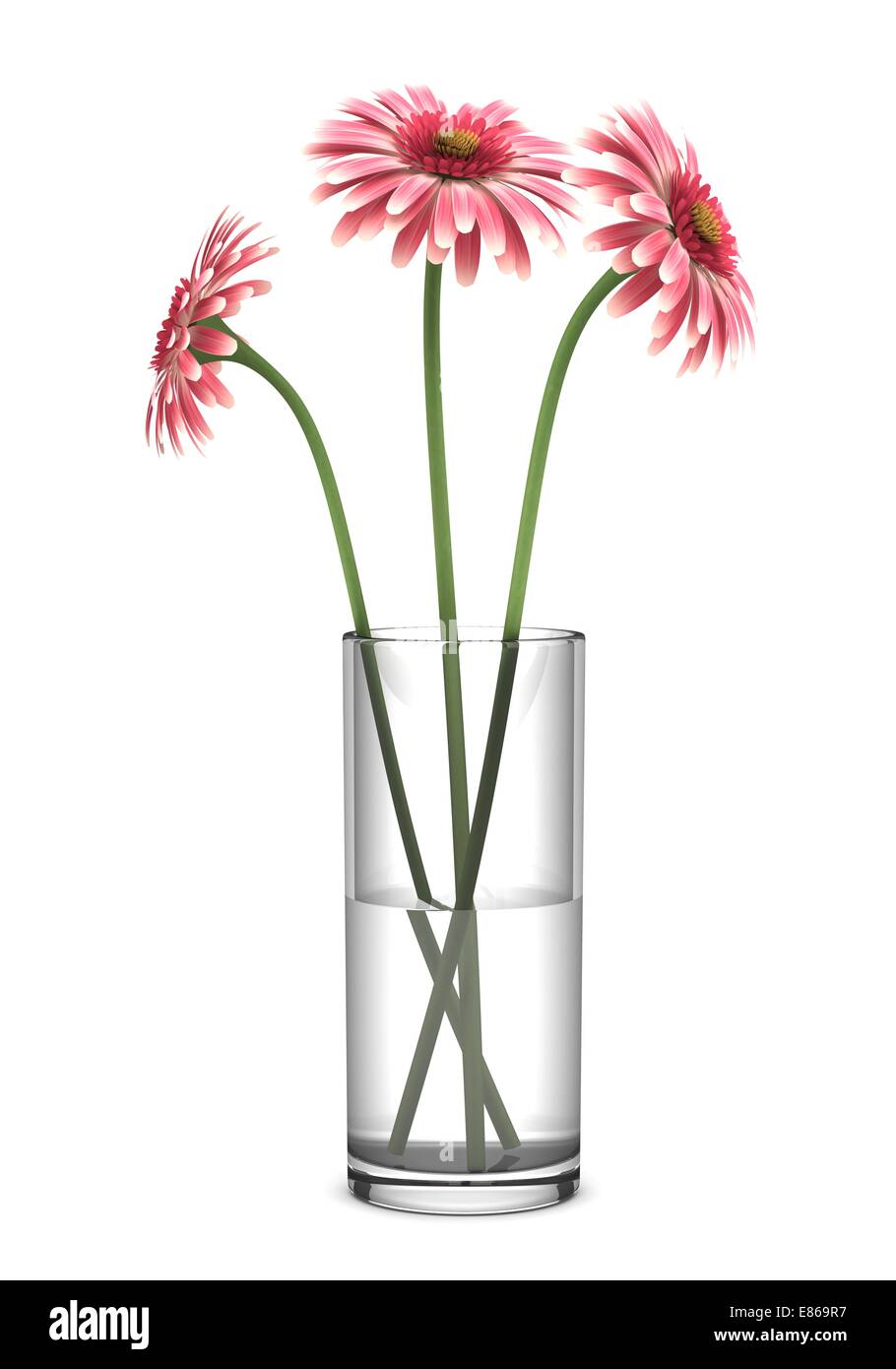 pink gerbera daisies in vase isolated on white background Stock Photo ...