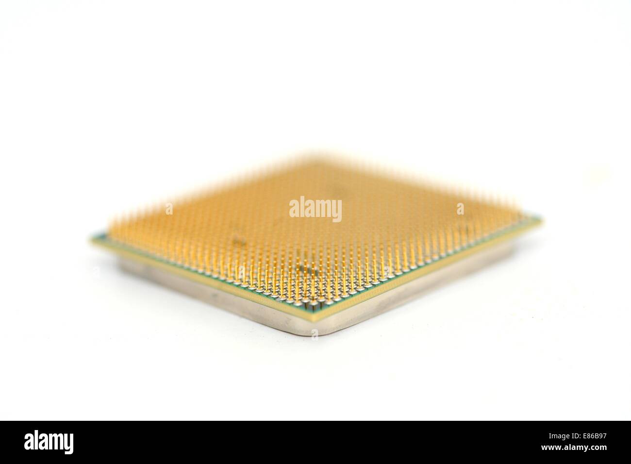 Closeup of a computer processor with golden pins over a white ...