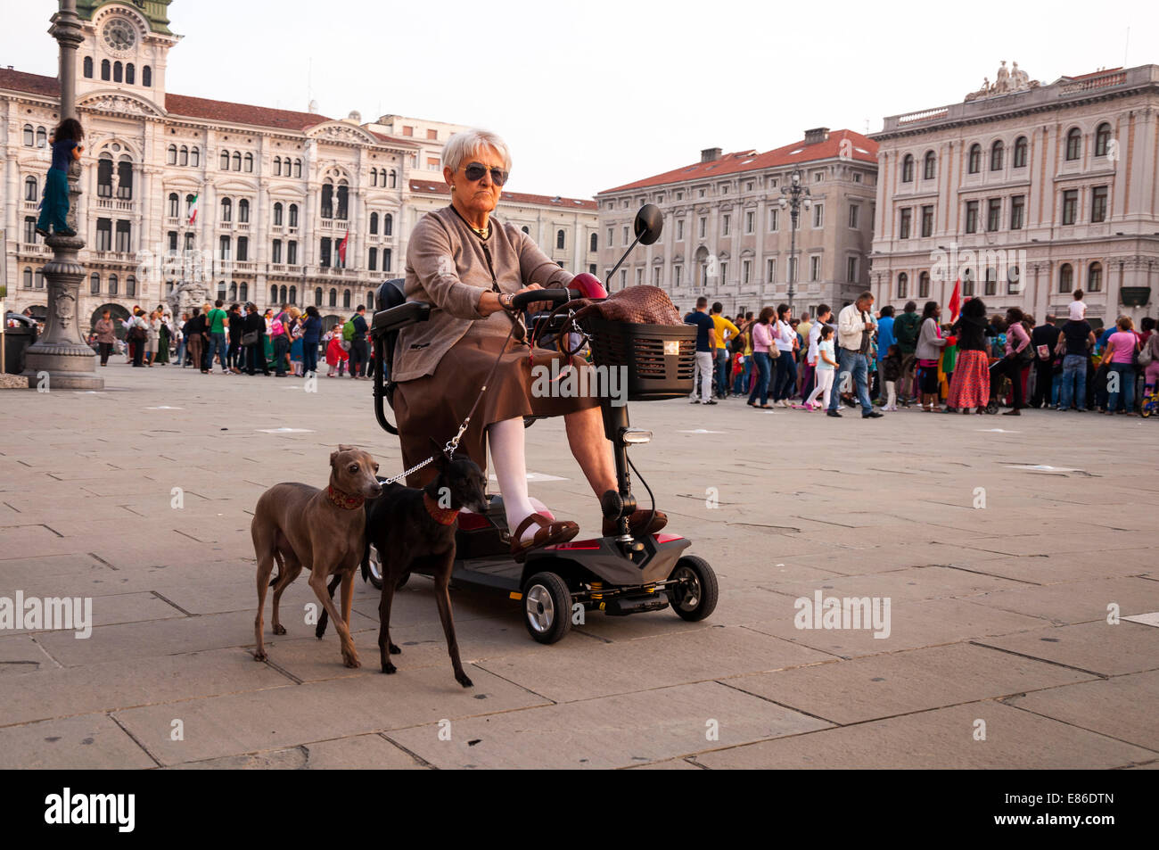 Dog mobility scooter hires stock photography and images Alamy