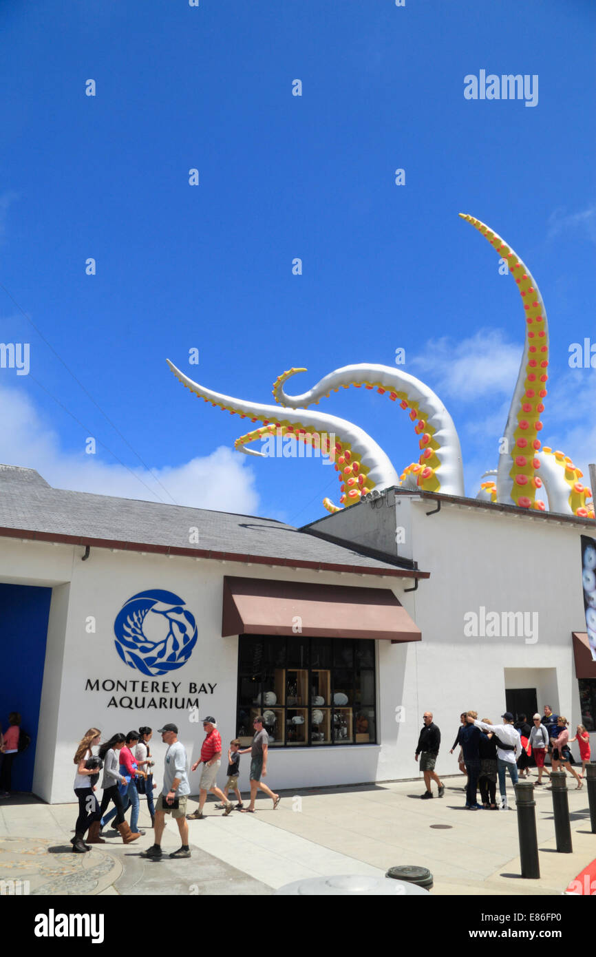 Monterey, Monterey Bay Aquarium, California, USA Stock Photo Alamy