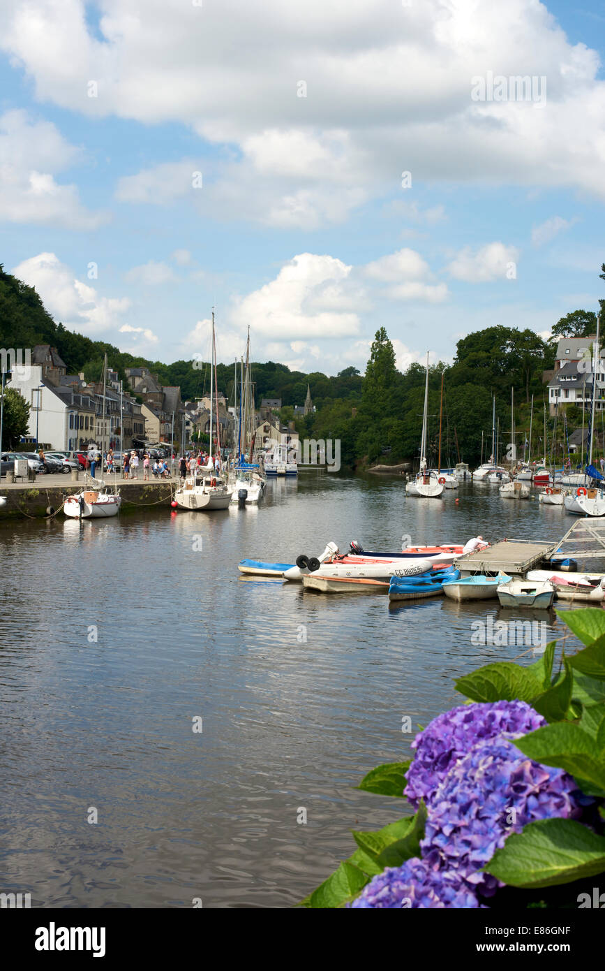 The River Aven, Pont Aven, Brittany, France. with blue Hydrangea