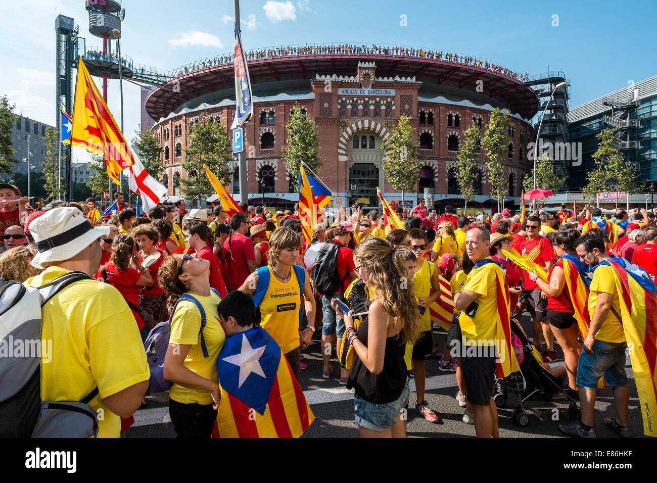 Photographs of the march for Catalan Independence held in Barcelona in September 11th of 2014. Stock Photo