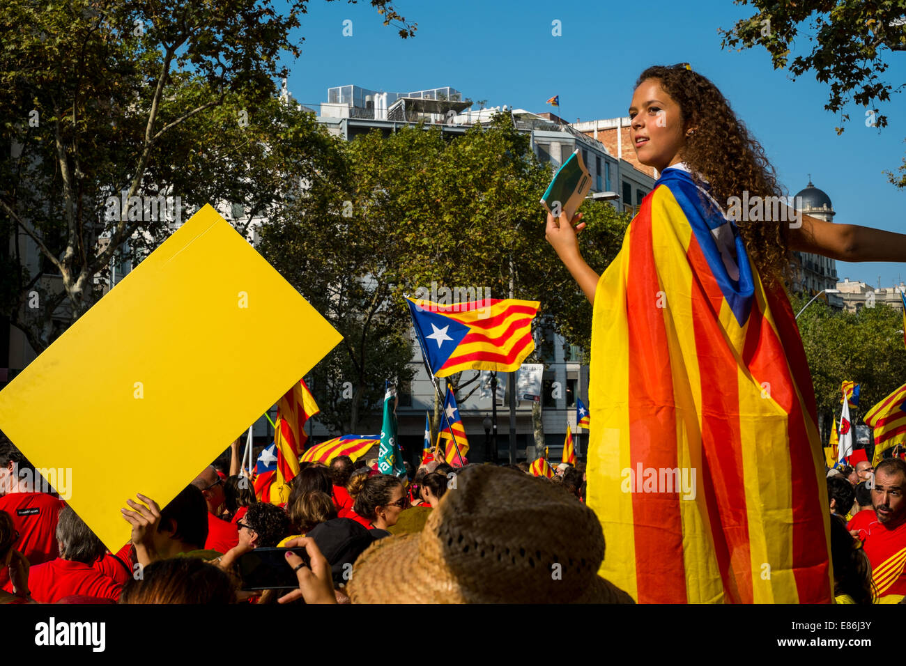 Photographs of the march for Catalan Independence held in Barcelona in September 11th of 2014. Stock Photo