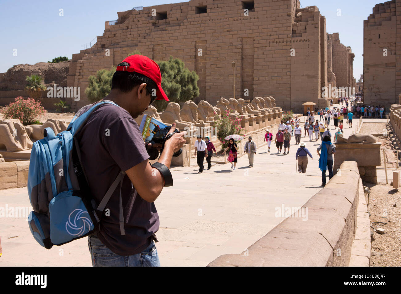 Egypt, Luxor, Karnak Temple, tourist photographing Avenue of Rams at temple entrance Stock Photo