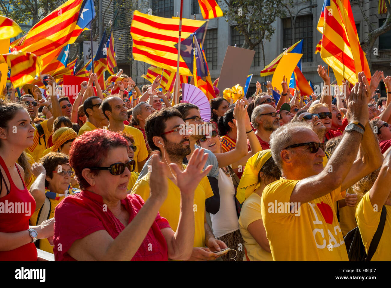 Photographs of the march for Catalan Independence held in Barcelona in September 11th of 2014. Stock Photo