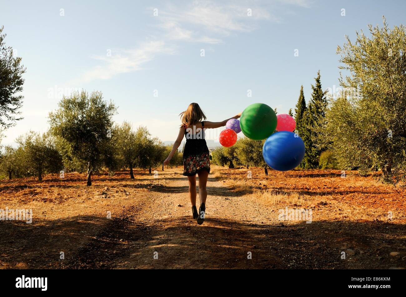 Girl with balloons in the field Stock Photo - Alamy