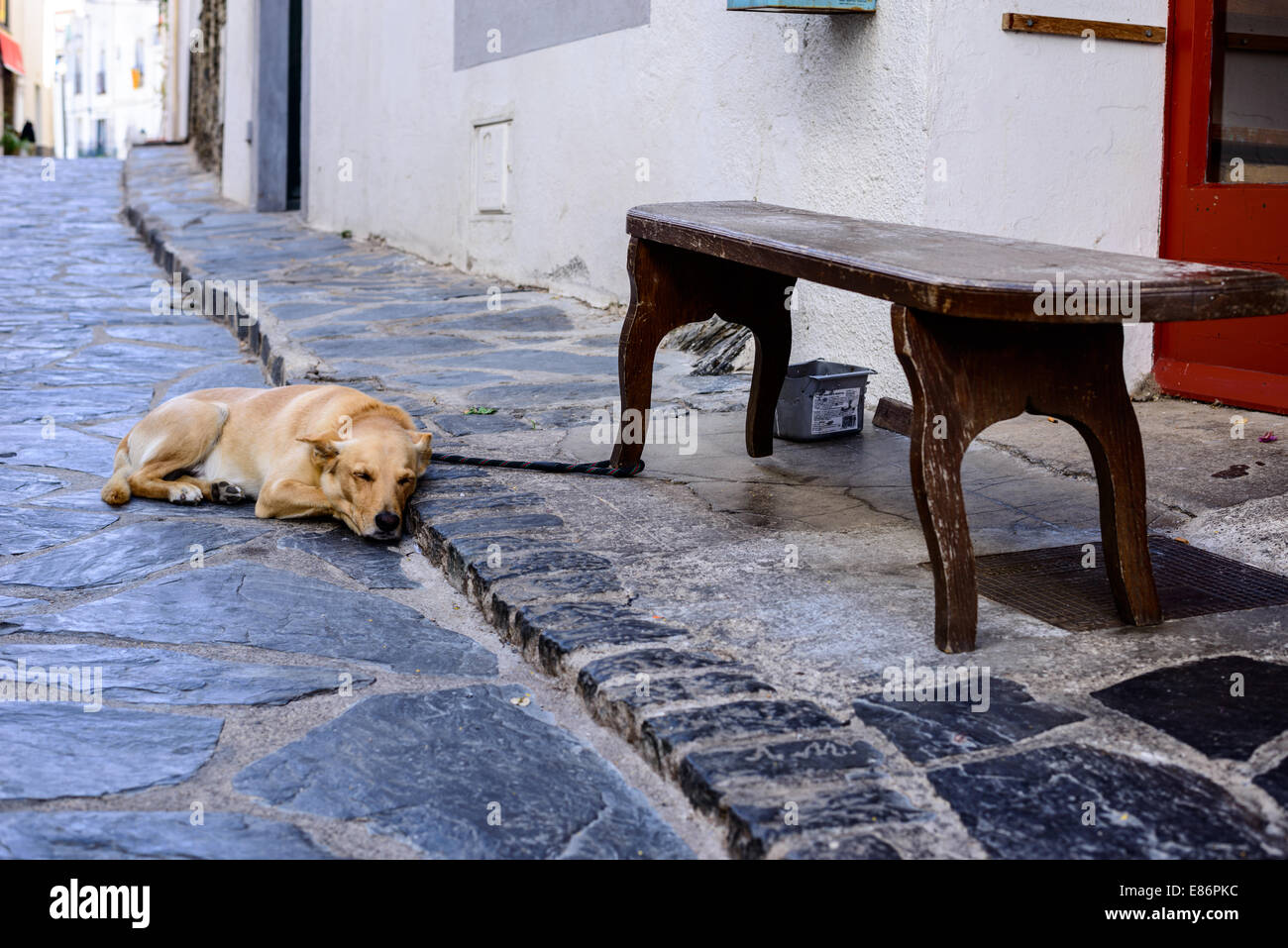 A dog sleeps on the street, depicting the small town charm of Cadaques, in the Costa Brava. Stock Photo
