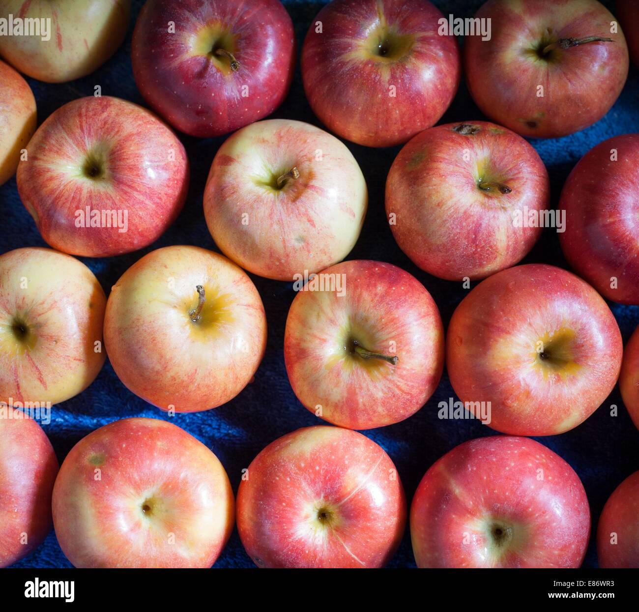 Lots of Red Yellow ripe apples background on the street market Stock ...