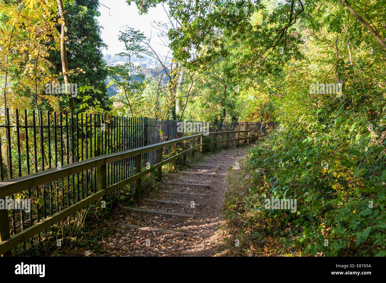 Stepped path with fence on the edge of a steep hillside in ancient woodland, Colwick Woods, Nottingham, England, UK Stock Photo