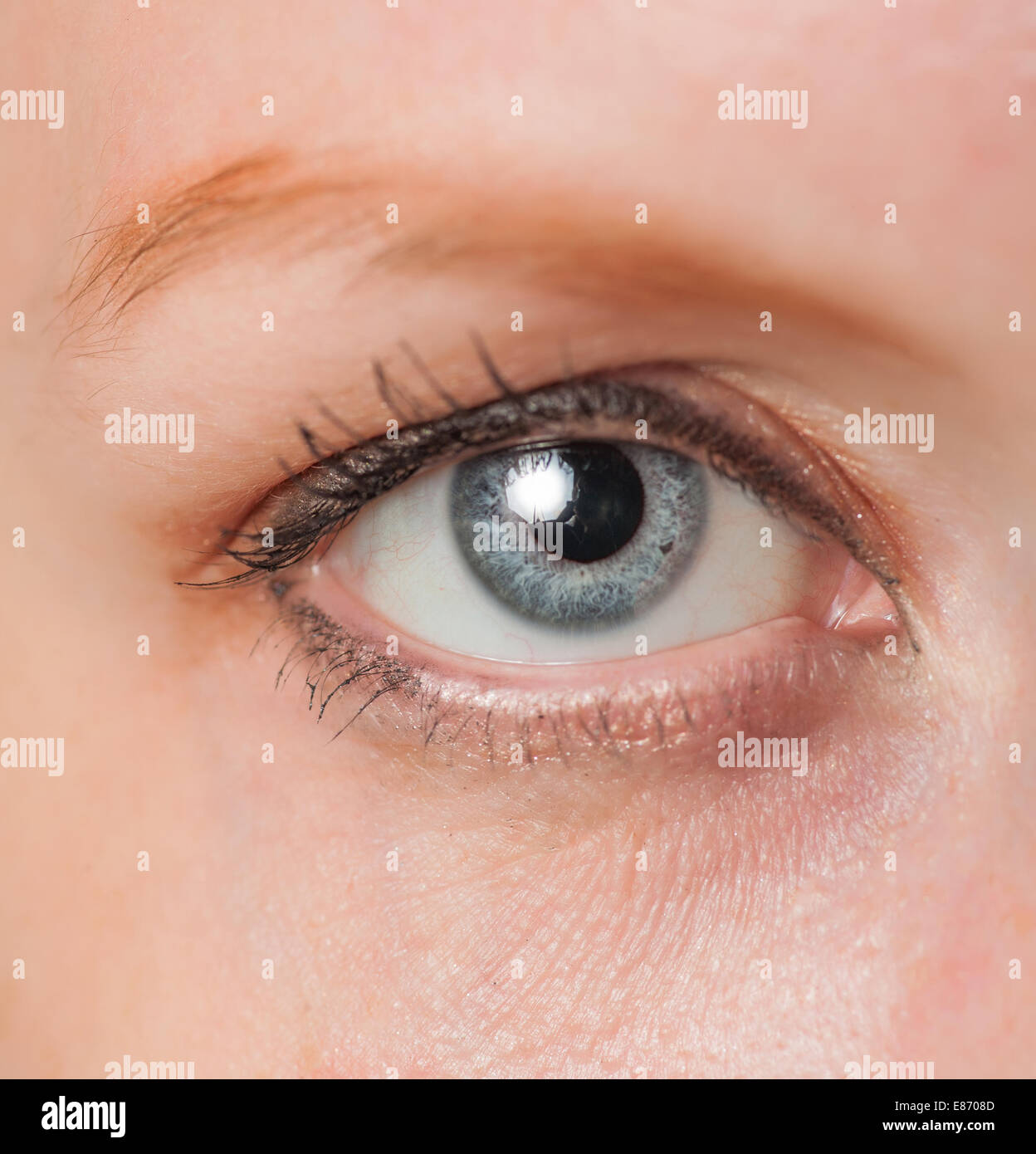 Macro image of human eye Stock Photo Alamy