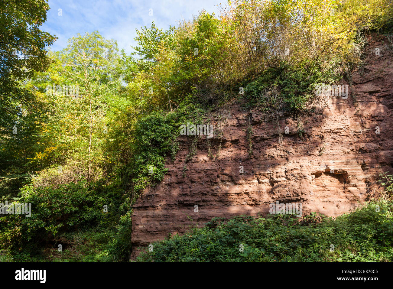 Triassic cliff face of mudstone, siltstone and sandstone at Colwick Cutting, a Site of Special Scientific Interest (SSSI), Nottingham, England, UK Stock Photo