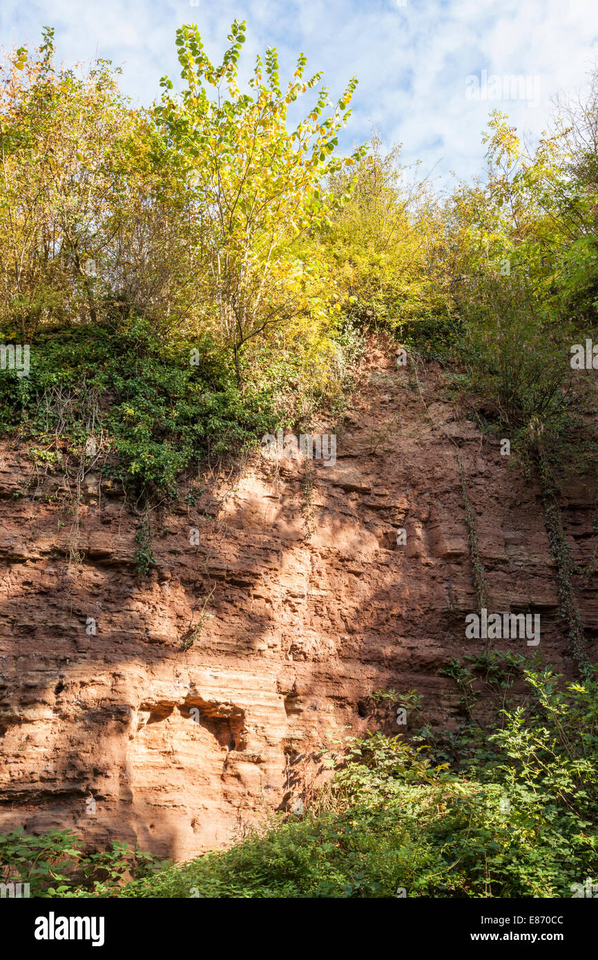 Triassic cliff face of mudstone, siltstone and sandstone at Colwick Cutting, a Site of Special Scientific Interest (SSSI), Nottingham, England, UK Stock Photo