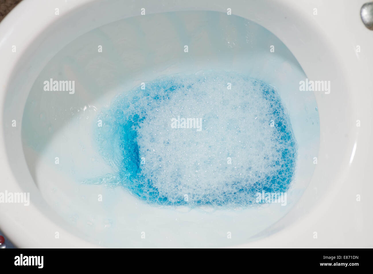 toilet bowl with blue water inside Stock Photo - Alamy