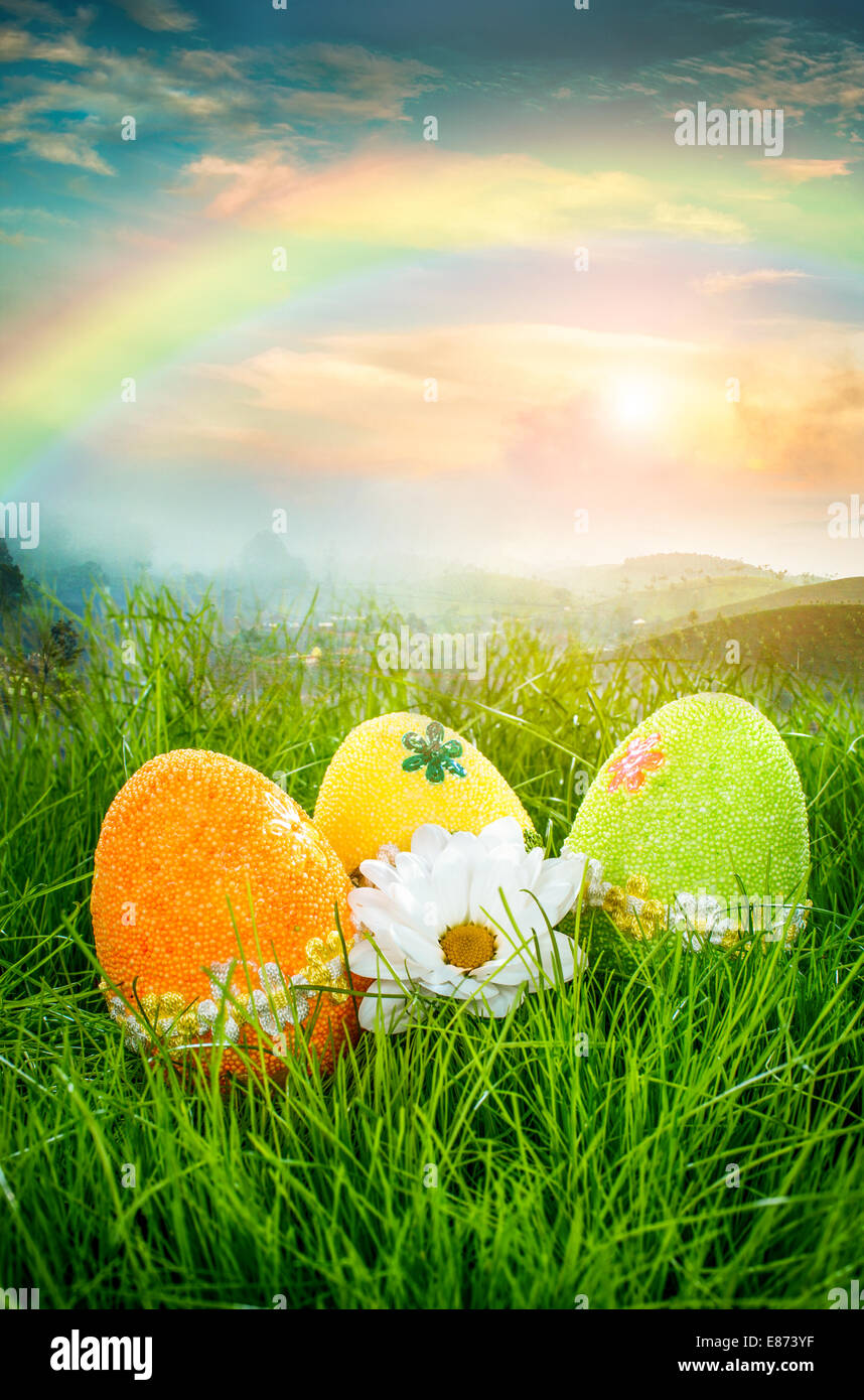 Decorated easter eggs in the grass on blue sky background Stock Photo ...