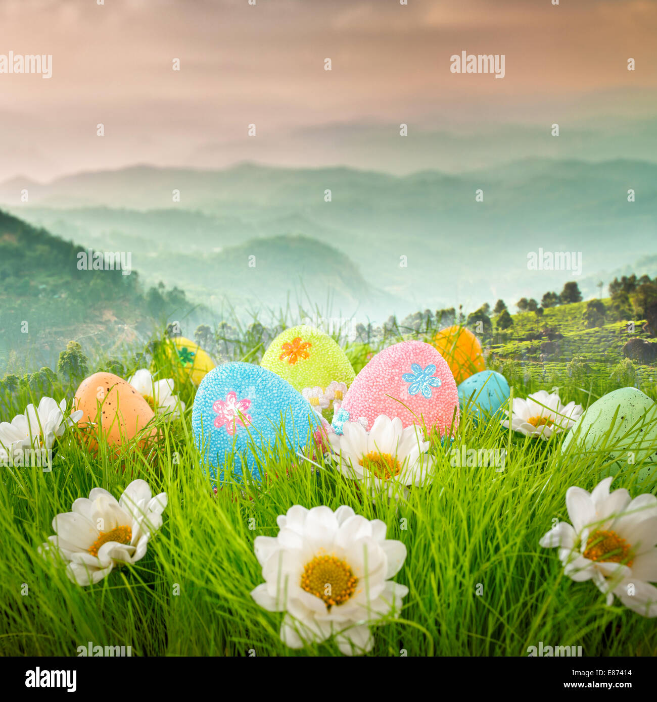 Decorated easter eggs in the grass on blue sky background Stock Photo ...