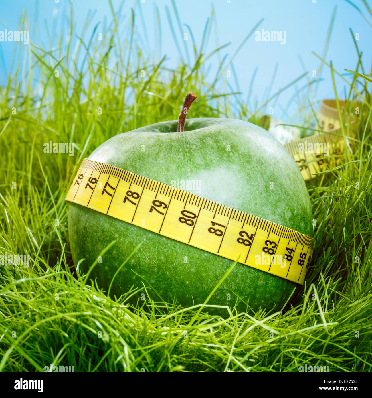 Measuring grass hires stock photography and images Alamy