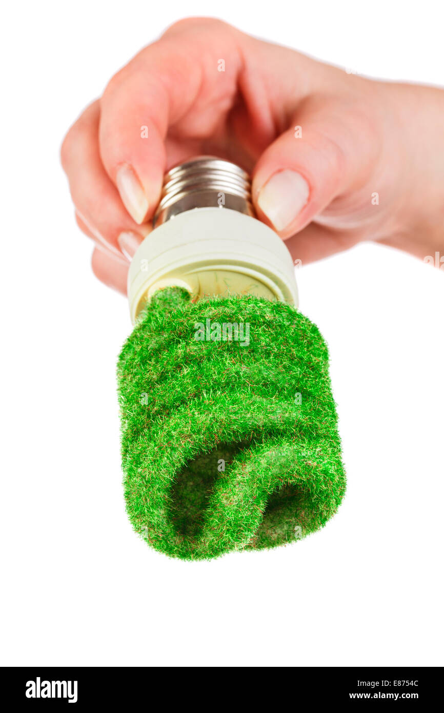 Eco light bulb in hand isolated on white background Stock Photo - Alamy