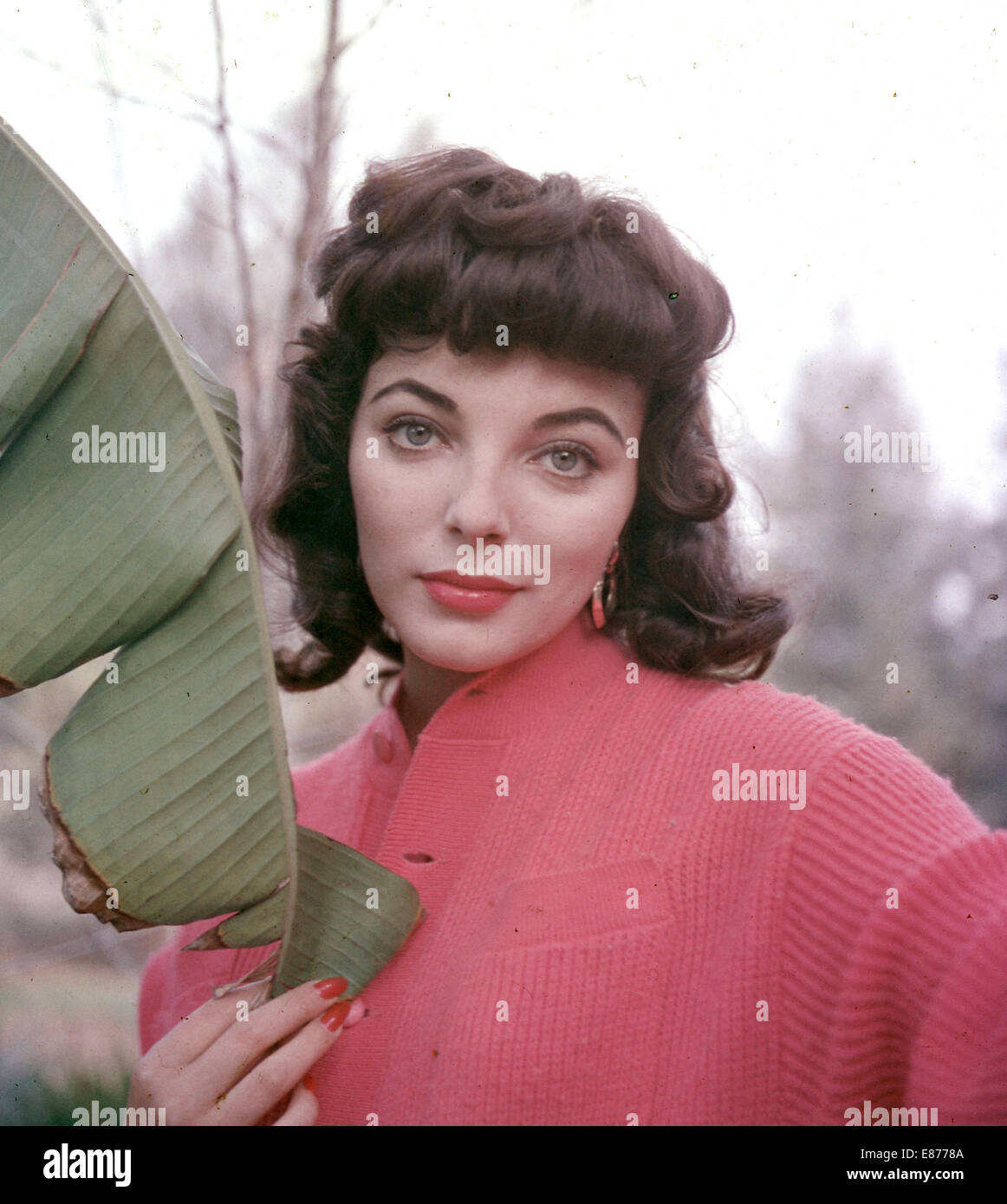 JOAN COLLINS UK film actress about 1959 Stock Photo Alamy
