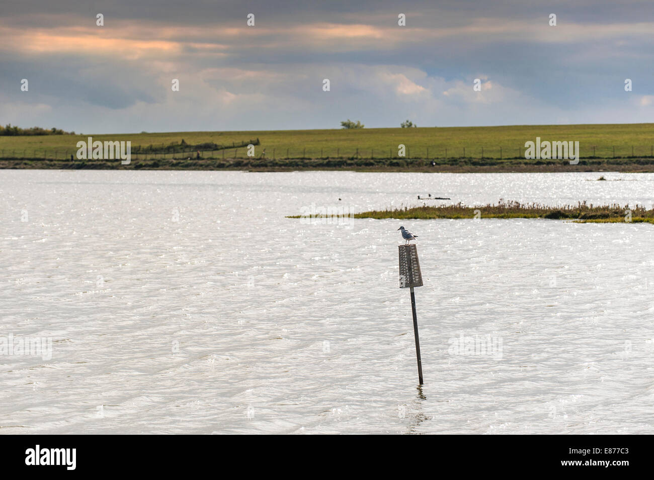 The Blackwater River in Essex. Stock Photo