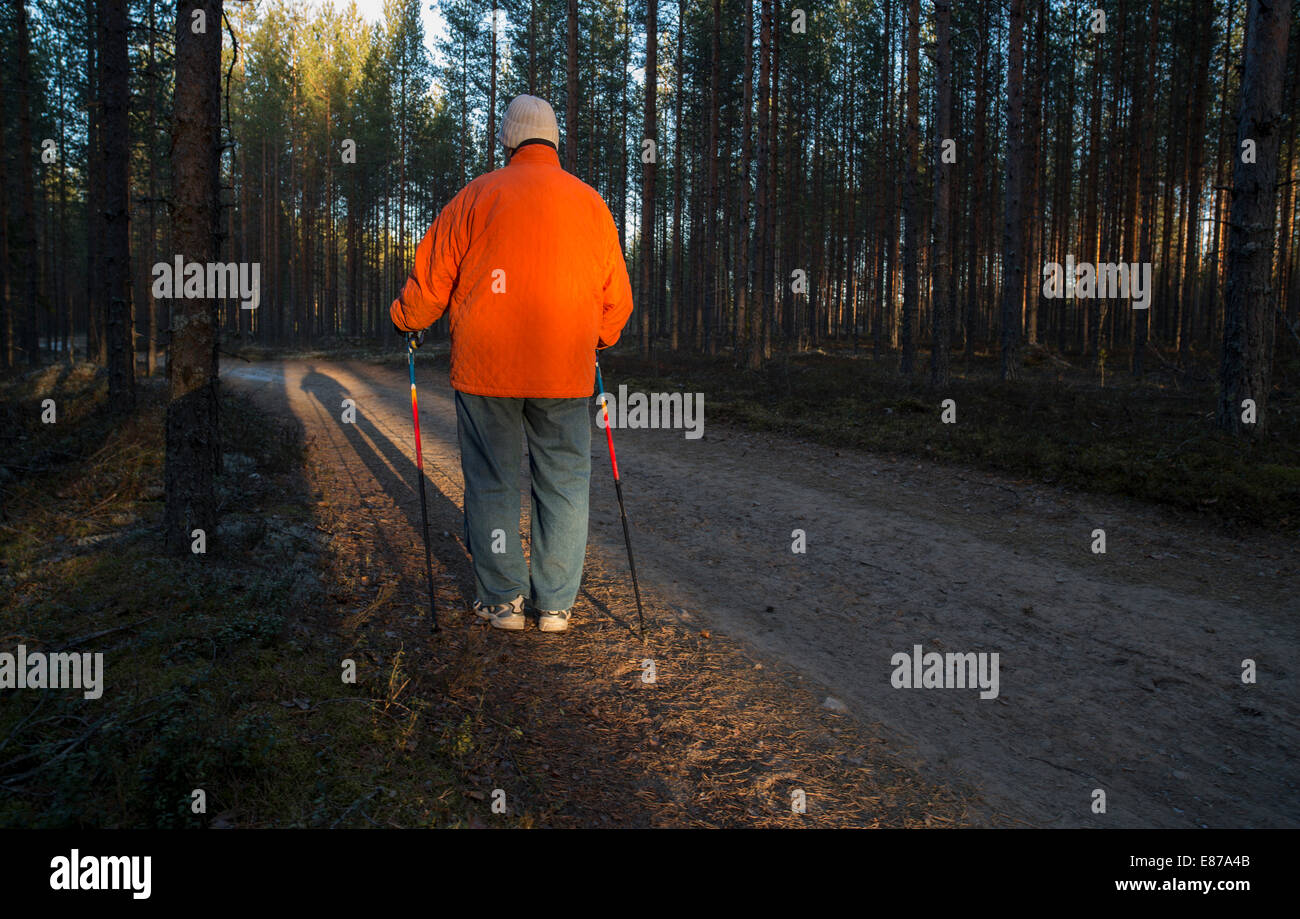 Elderly senior woman standing in the taiga forest with nordic walking poles , Finland Stock Photo
