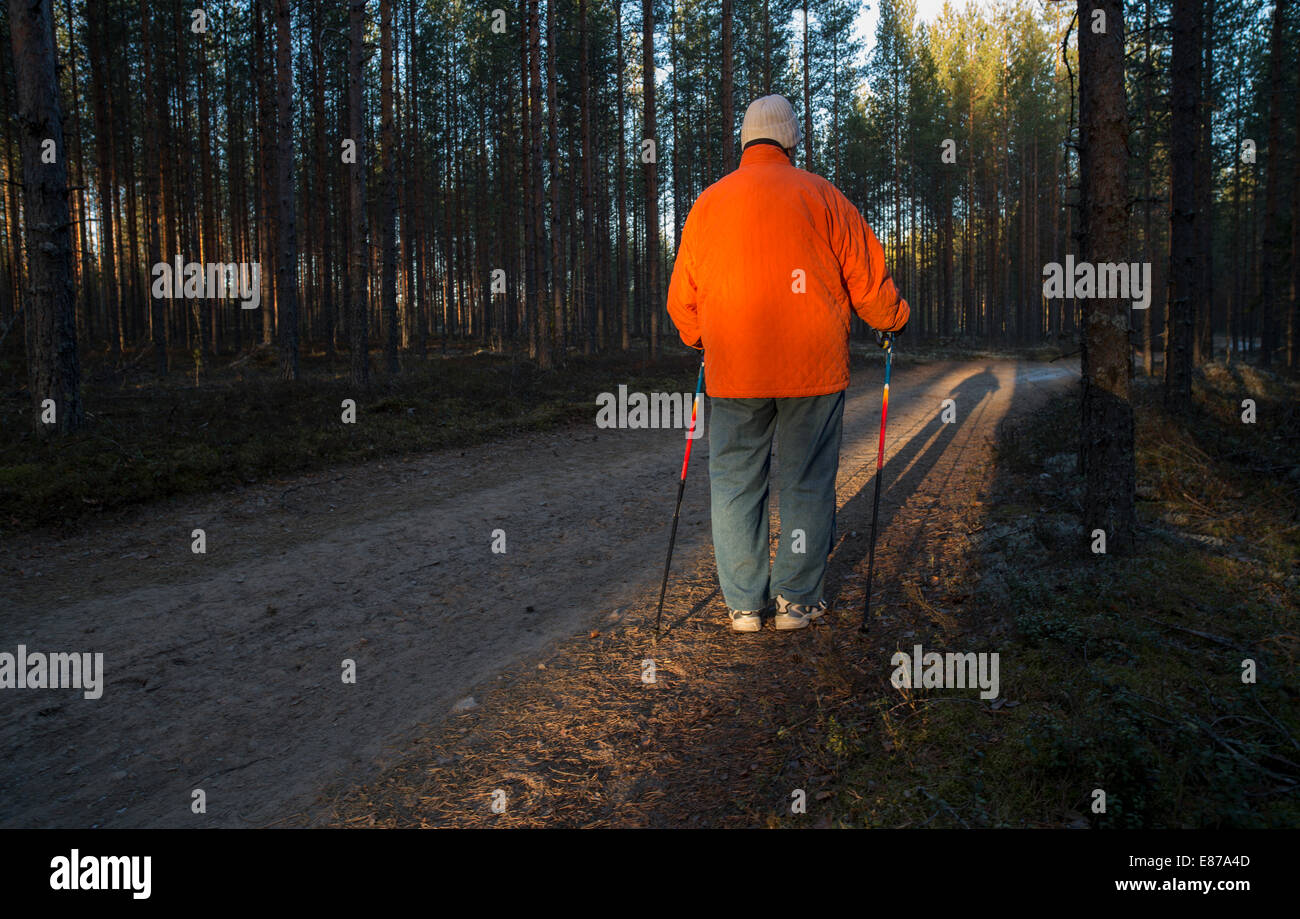 Elderly senior woman standing in the taiga forest with nordic walking poles , Finland Stock Photo