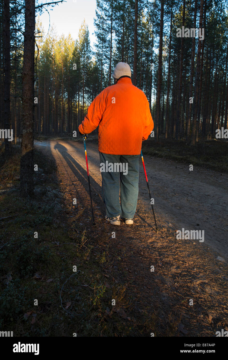 Elderly senior woman standing in the forest with Nordic walking poles , Finland Stock Photo