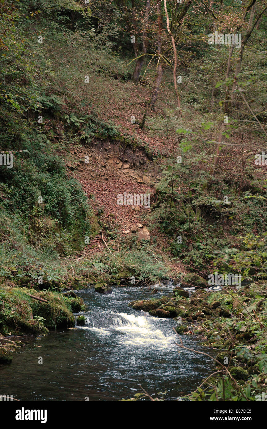 Millers Dale in Derbyshire by River Wye Stock Photo