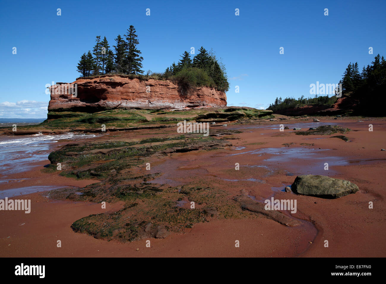 Bay of Fundy, Burncoat Head, reported to have the highest tides in the world, Nova Scotia, Canada Stock Photo