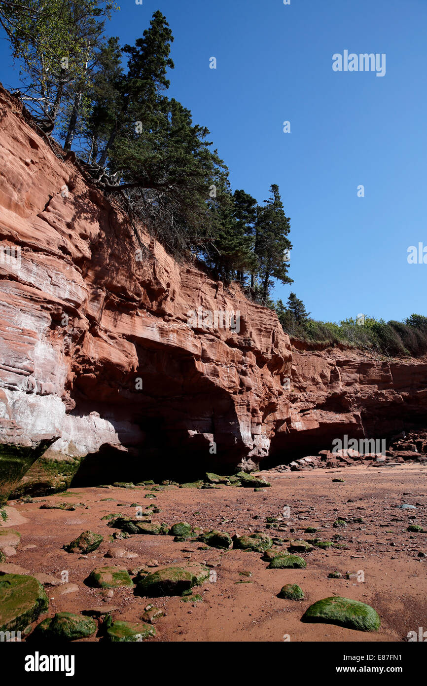 Bay of Fundy, Burncoat Head, reported to have the highest tides in the world, Nova Scotia, Canada Stock Photo