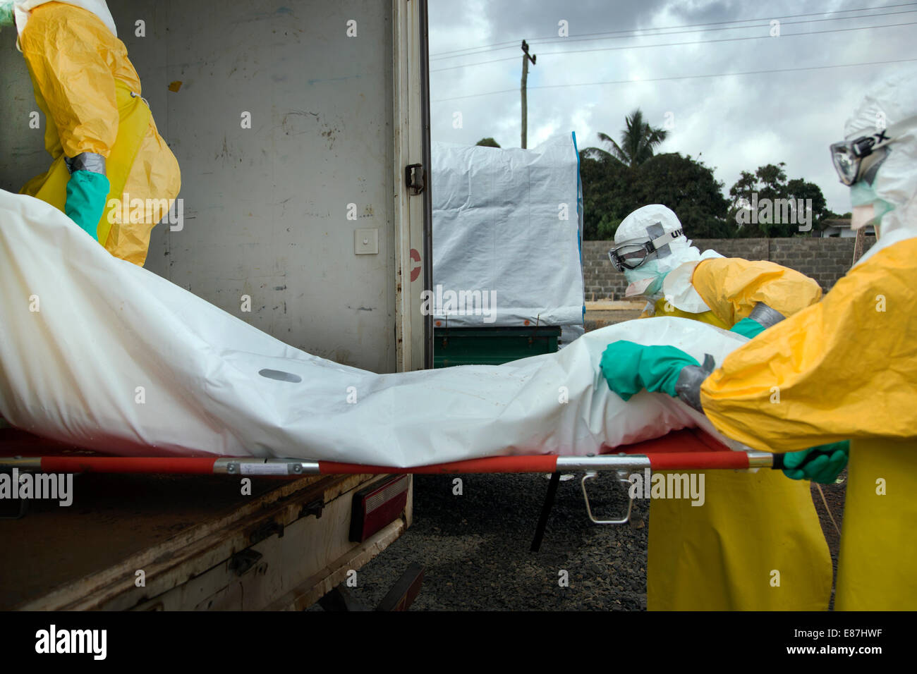 The team in charge of burning the bodies of Ebola victims at MSF load full body bags into the back of the transport truck. Monro Stock Photo