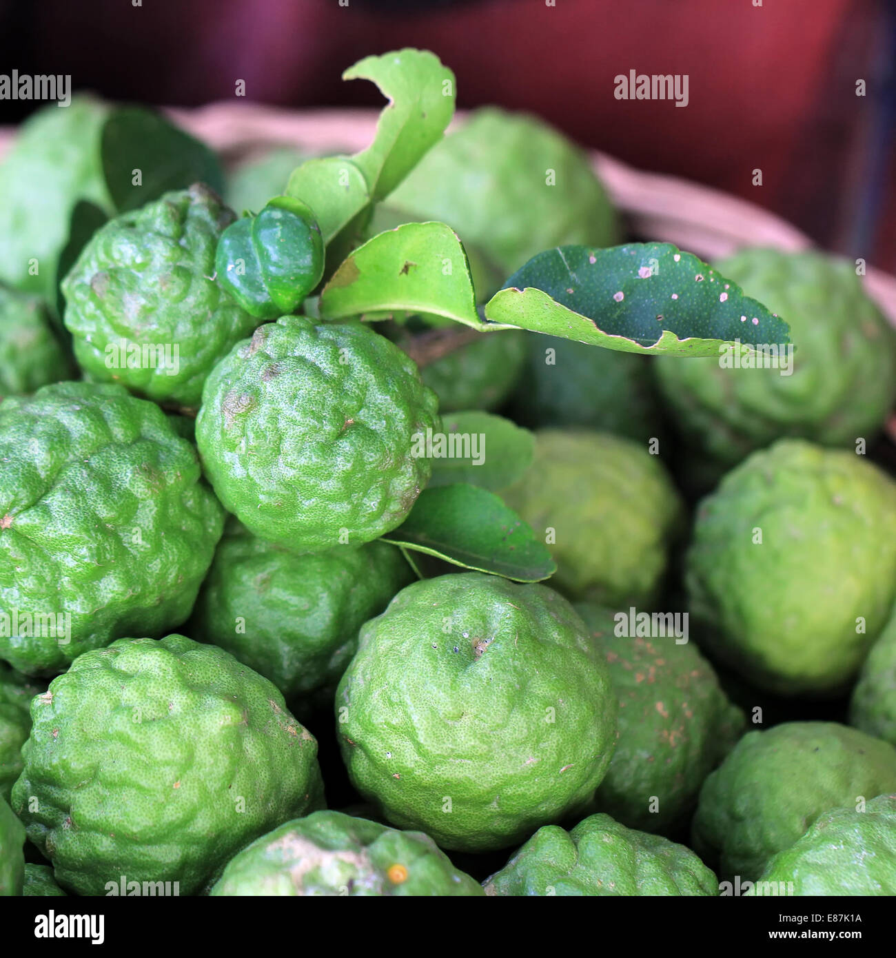 Kaffir lime bergamot fruit hi-res stock photography and images - Alamy