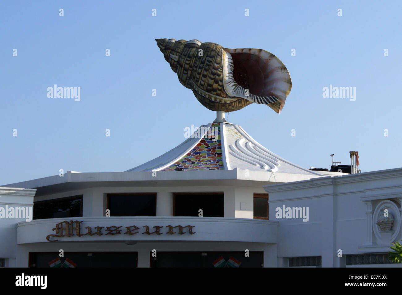 Seashell Museum Stock Photo