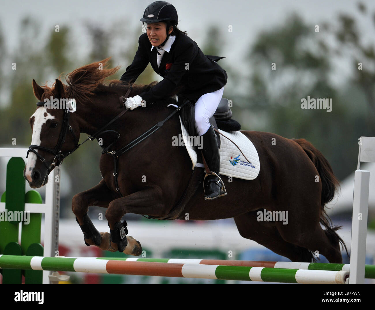 (141002) -- INCHEON, Oct. 2, 2014 (Xinhua) -- Chen Qian of China competes during the women's individual riding match of modern pentathlon at the 17th Asian Games in Incheon, South Korea, Oct. 2, 2014. (Xinhua/Xie Haining)(mcg) Stock Photo