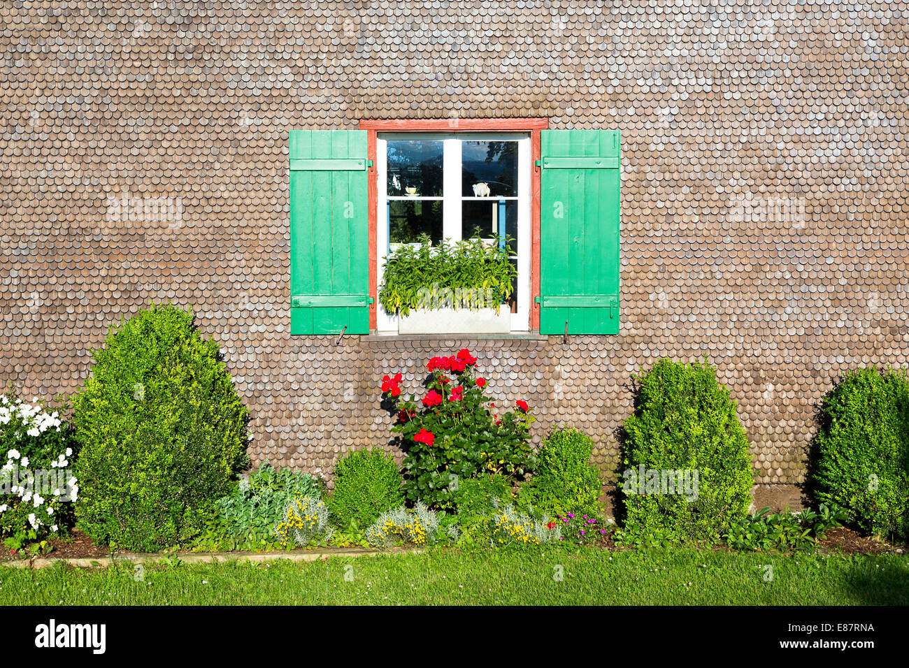 Window with green shutters, with flowers in the front, Reichenau, Baden-Württemberg, Germany Stock Photo