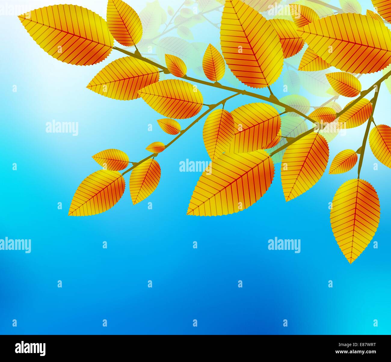 Autumn leaf background Stock Vector Image & Art - Alamy