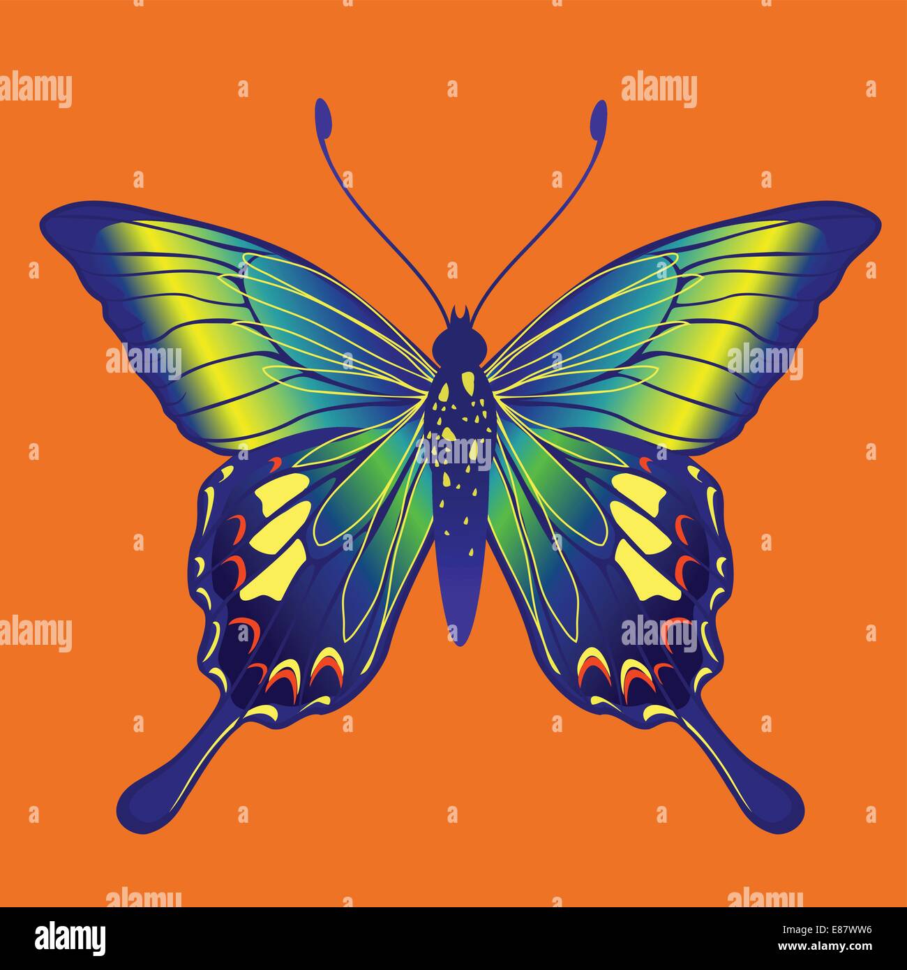 Brightly coloured colored Stock Vector Images Alamy