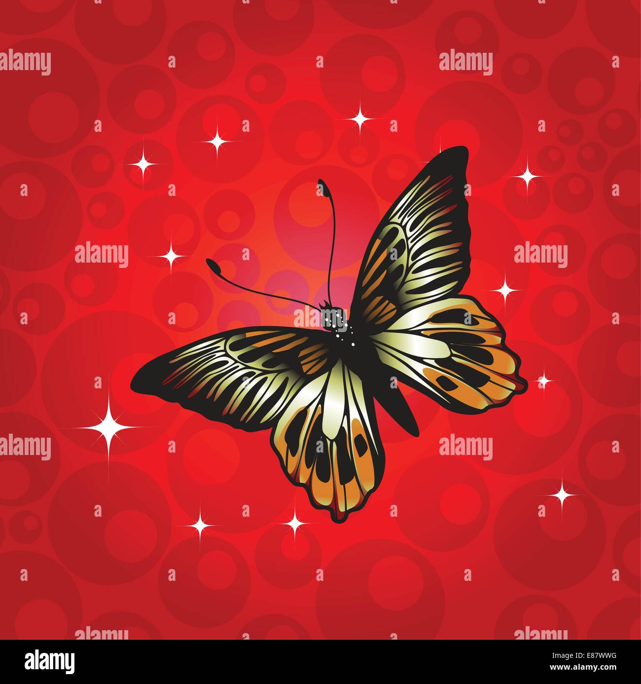 Vector Illustration of detailed Brightly coloured butterfly on the funky red background. Stock Vector