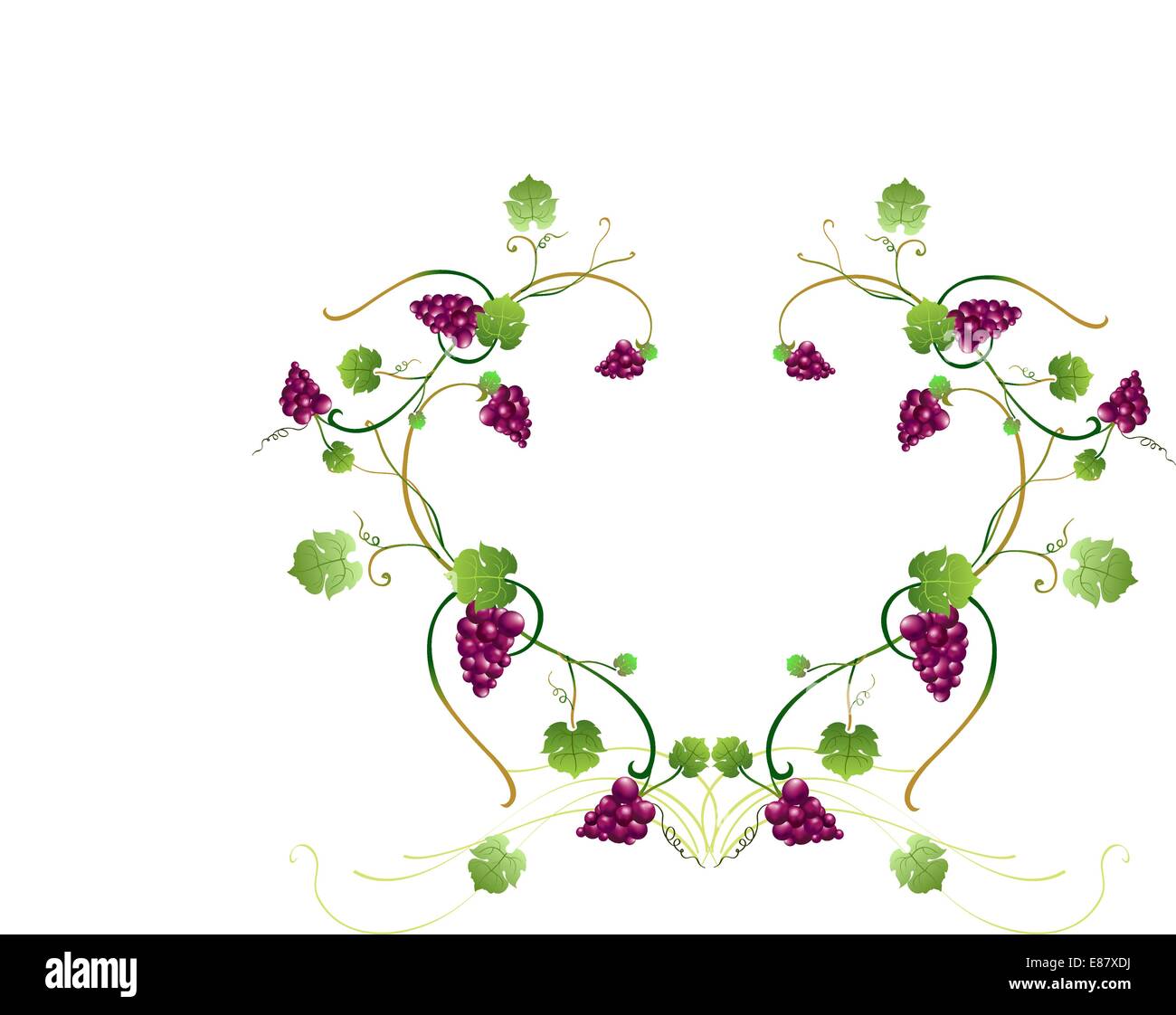 Vector illustraition of elegant floral frame Stock Vector Image & Art ...