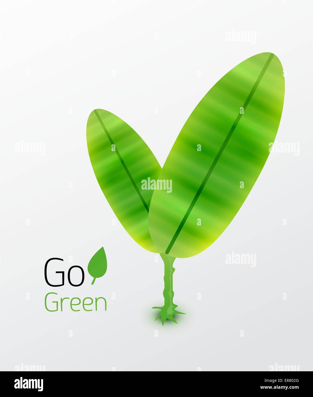 Green plant with leaves nature concept Stock Vector Image & Art - Alamy