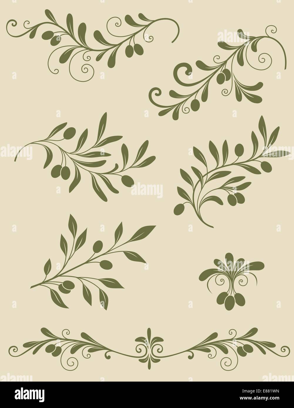 Olive branch in vintage Stock Vector Images - Alamy